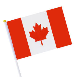 Mini Canadian Flag #9775