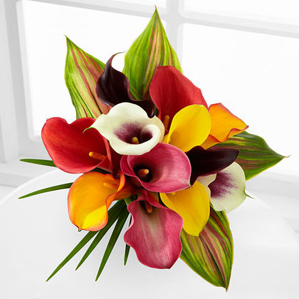 Captured Color Calla Lily Bouquet
