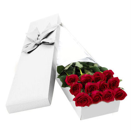 Dozen Premium Red Roses with Baby's Breath
