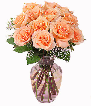 12 Peach Roses in a Vase