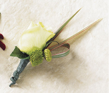 Courtier Boutonniere