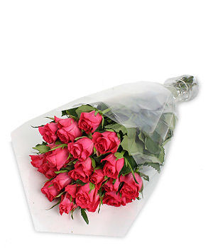 24 Pink Roses