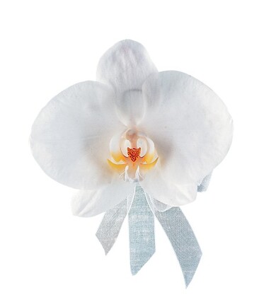 White Phalaenopsis Chest Corsage