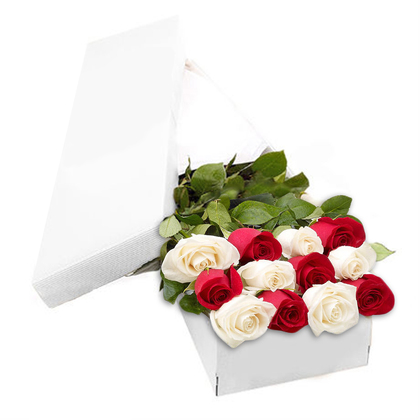Dozen Red & White Roses in a Box
