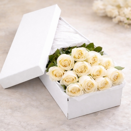 Dozen White Roses in a Box