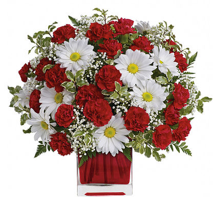 Red And White Delight by Teleflora - Premium