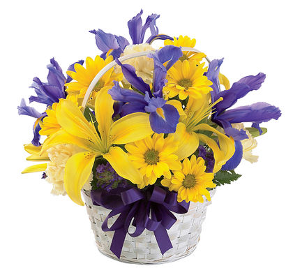 The Spirit of Spring - Deluxe