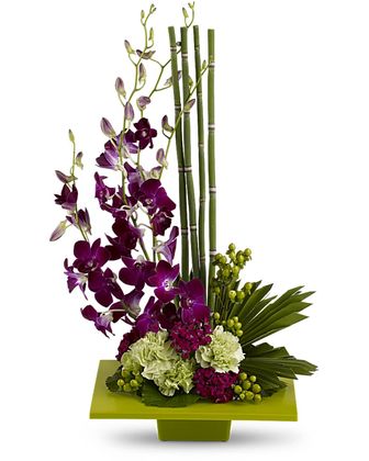 Zen Artistry - Premium