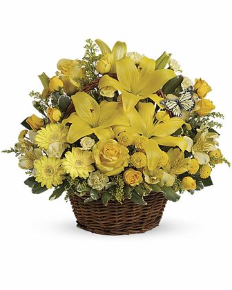 Basket Full of Wishes - Premium