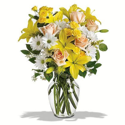 Teleflora's Daisies and Sunbeams - Premium