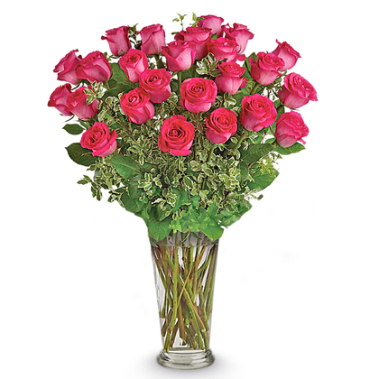 Dreaming in Pink Roses - Deluxe