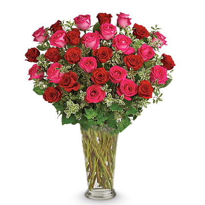 Dreaming in Pink Roses - Premium