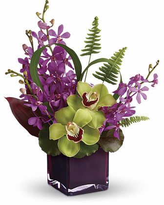 Teleflora's Island Princess - Premium