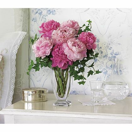 Perfect Peonies