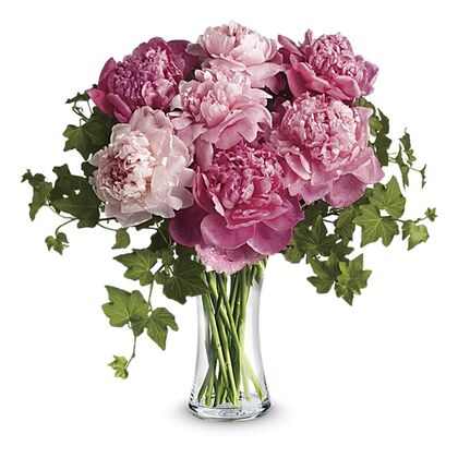 Perfect Peonies