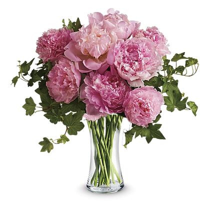 Perfect Peonies - Deluxe