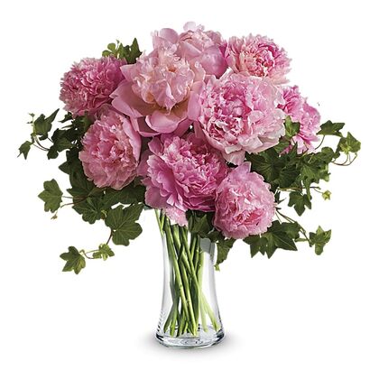 Perfect Peonies - Premium