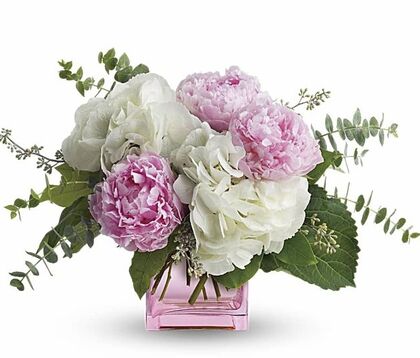 Pretty in Peony From Holland
