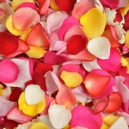 Mix Color Rose Petals