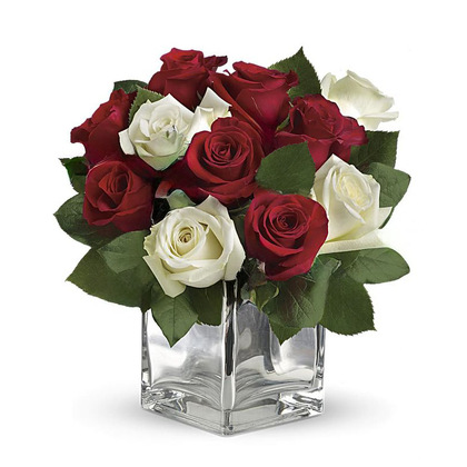 Snowy Night Red and White Roses by Teleflora - Deluxe