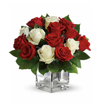 Snowy Night Red and White Roses by Teleflora - Premium