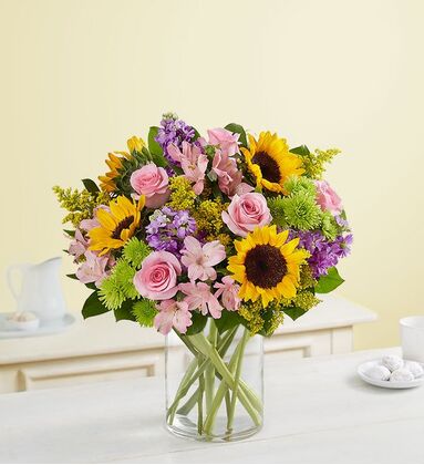 Garden Of Sunshine Beauty