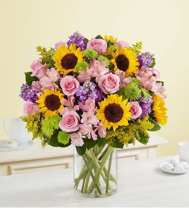 Garden Of Sunshine Beauty - Deluxe
