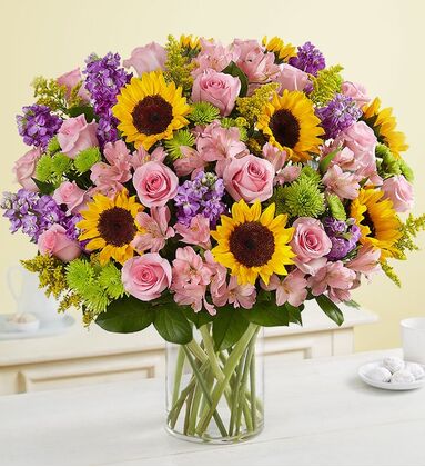 Garden Of Sunshine Beauty - Premium
