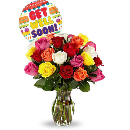 Get Well with Fresh Roses - Package D