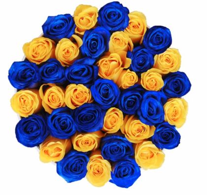Luxury Blue and Yellow Roses