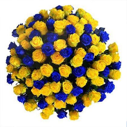 Luxury Blue and Yellow Roses - Deluxe