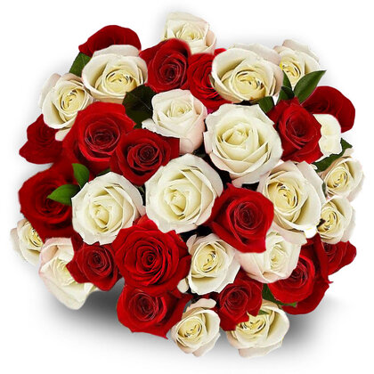 Red and White Rose Bouquet - 24 Stems