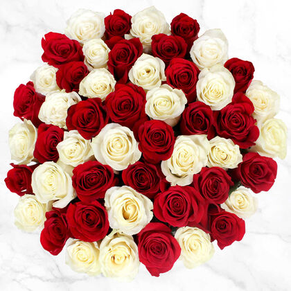 Red and White Rose Bouquet - 48 Stems