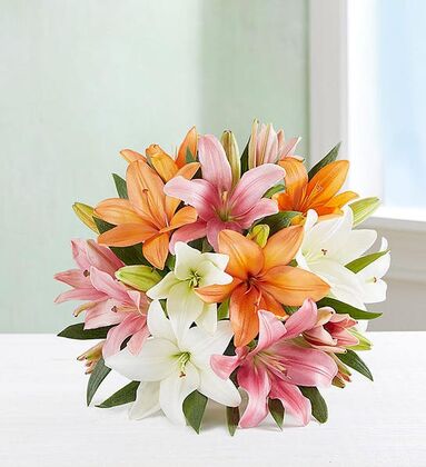 Vibrant Mix Color Lily