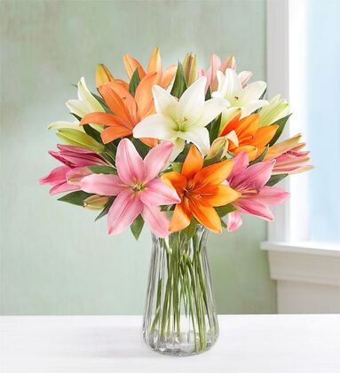 Vibrant Mix Color Lily - As Shown