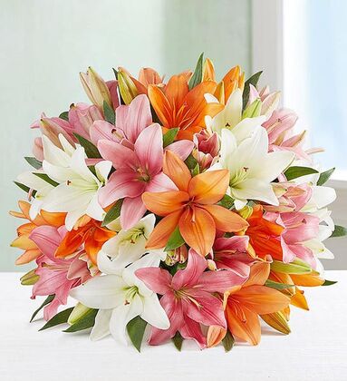 Vibrant Mix Color Lily - Deluxe