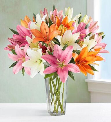 Vibrant Mix Color Lily - Premium