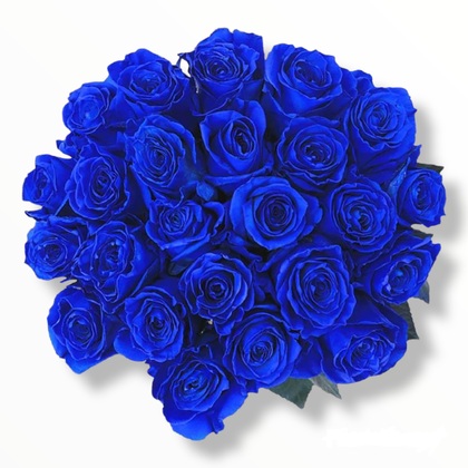 24 Blue Roses Bouquet