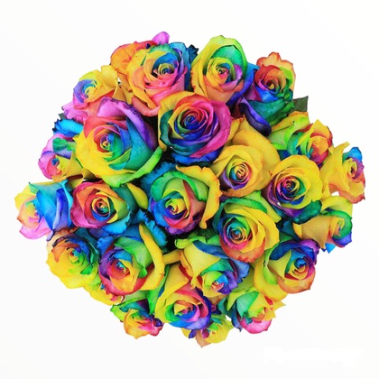 24 Rainbow Roses Bouquet