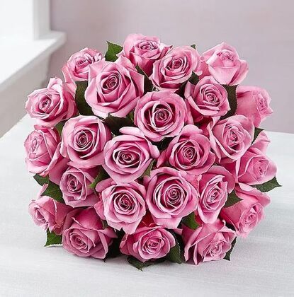 24 Purple Roses