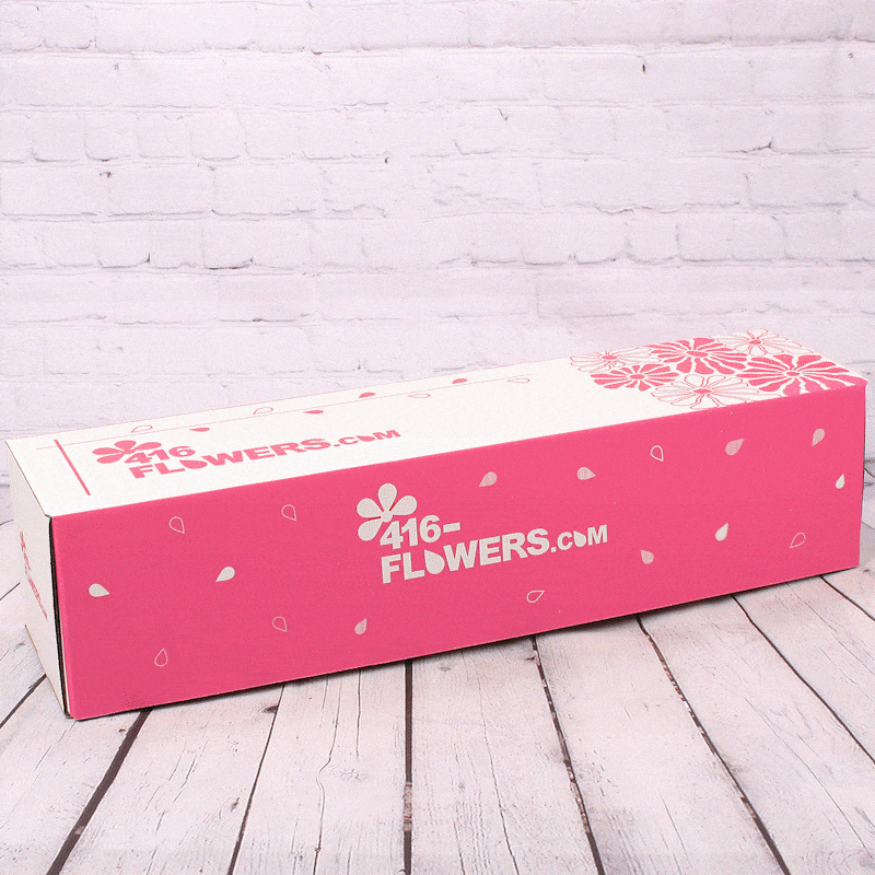 Dozen Red Roses Combo