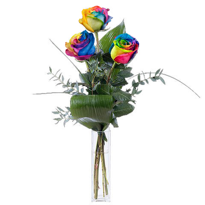 Simply Fresh Rainbow Roses