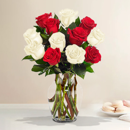 Dozen Red and White Roses in a Vase